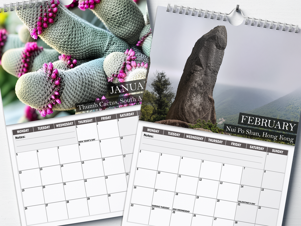 Nature's Nudes - 2026 A4 Wall Calendar