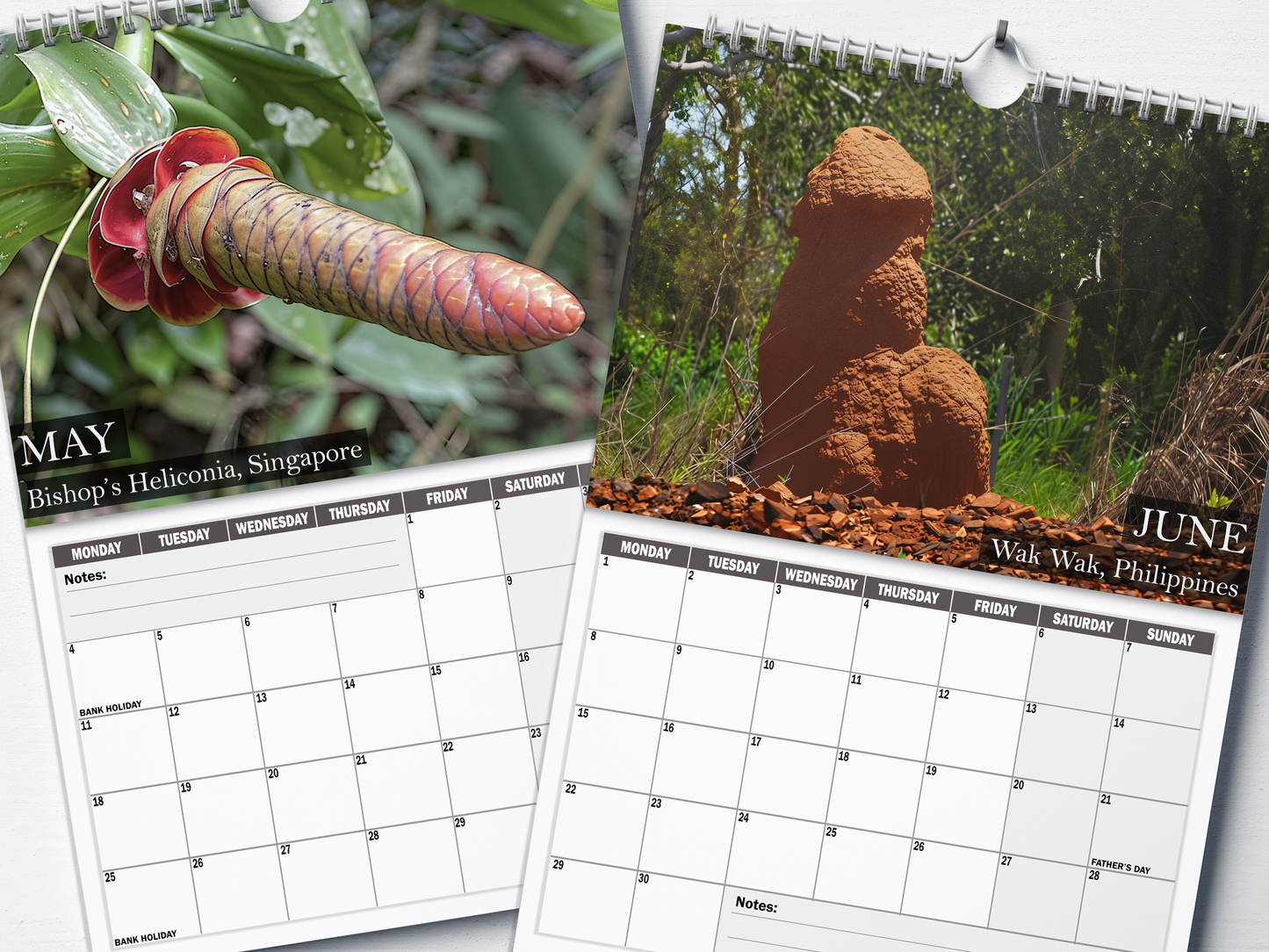 Nature's Nudes - 2026 A4 Wall Calendar