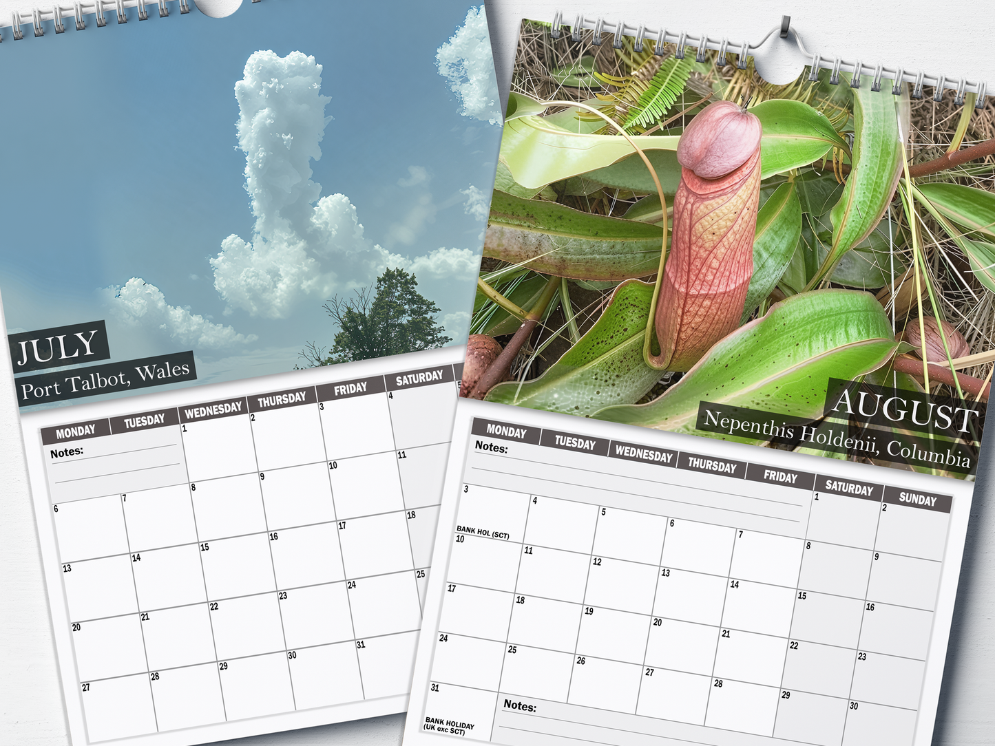 Nature's Nudes - 2026 A4 Wall Calendar
