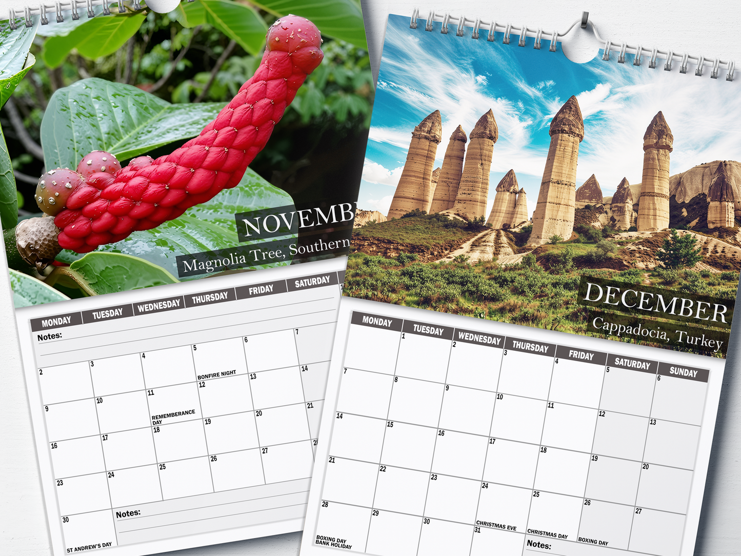 Nature's Nudes - 2026 A4 Wall Calendar