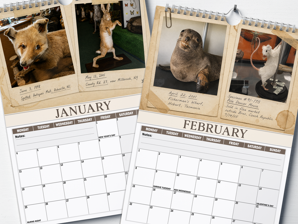 Bad Taxidermy - 2027 A4 Wall Calendar