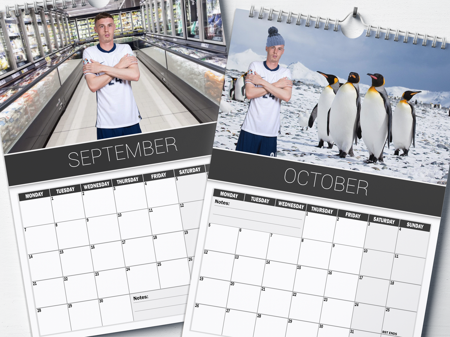 Cole Palmer - 2026 A4 Wall Calendar
