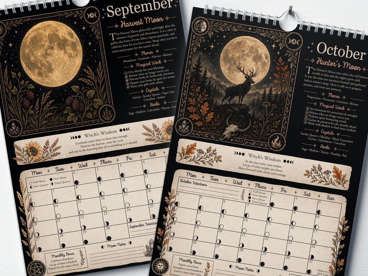 Align With The Moon - 2027 A4 Wall Calendar