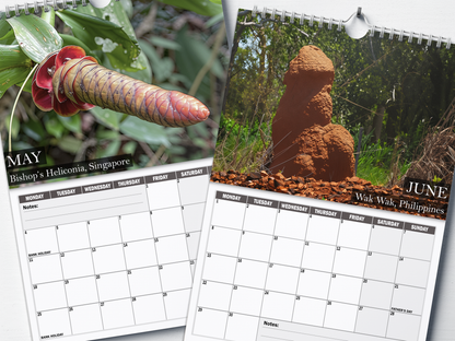 Nature's Nudes - 2026 A4 Wall Calendar