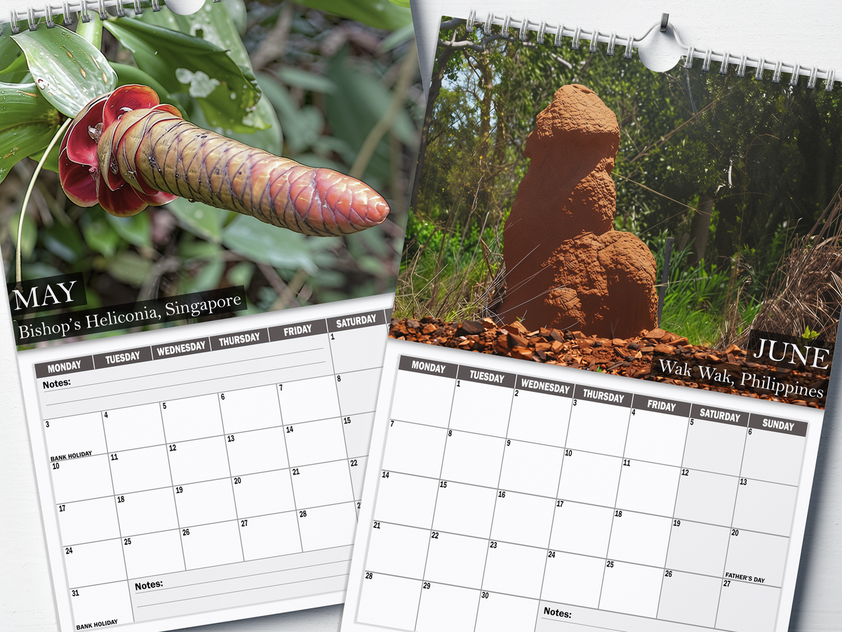 Nature's Nudes - 2027 A4 Wall Calendar