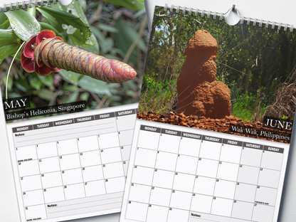 Nature's Nudes - 2027 A4 Wall Calendar