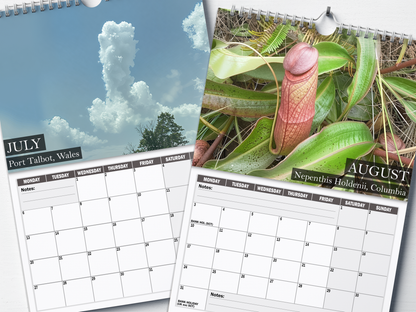 Nature's Nudes - 2026 A4 Wall Calendar