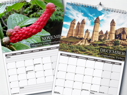 Nature's Nudes - 2026 A4 Wall Calendar