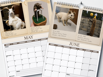 Bad Taxidermy - 2027 A4 Wall Calendar