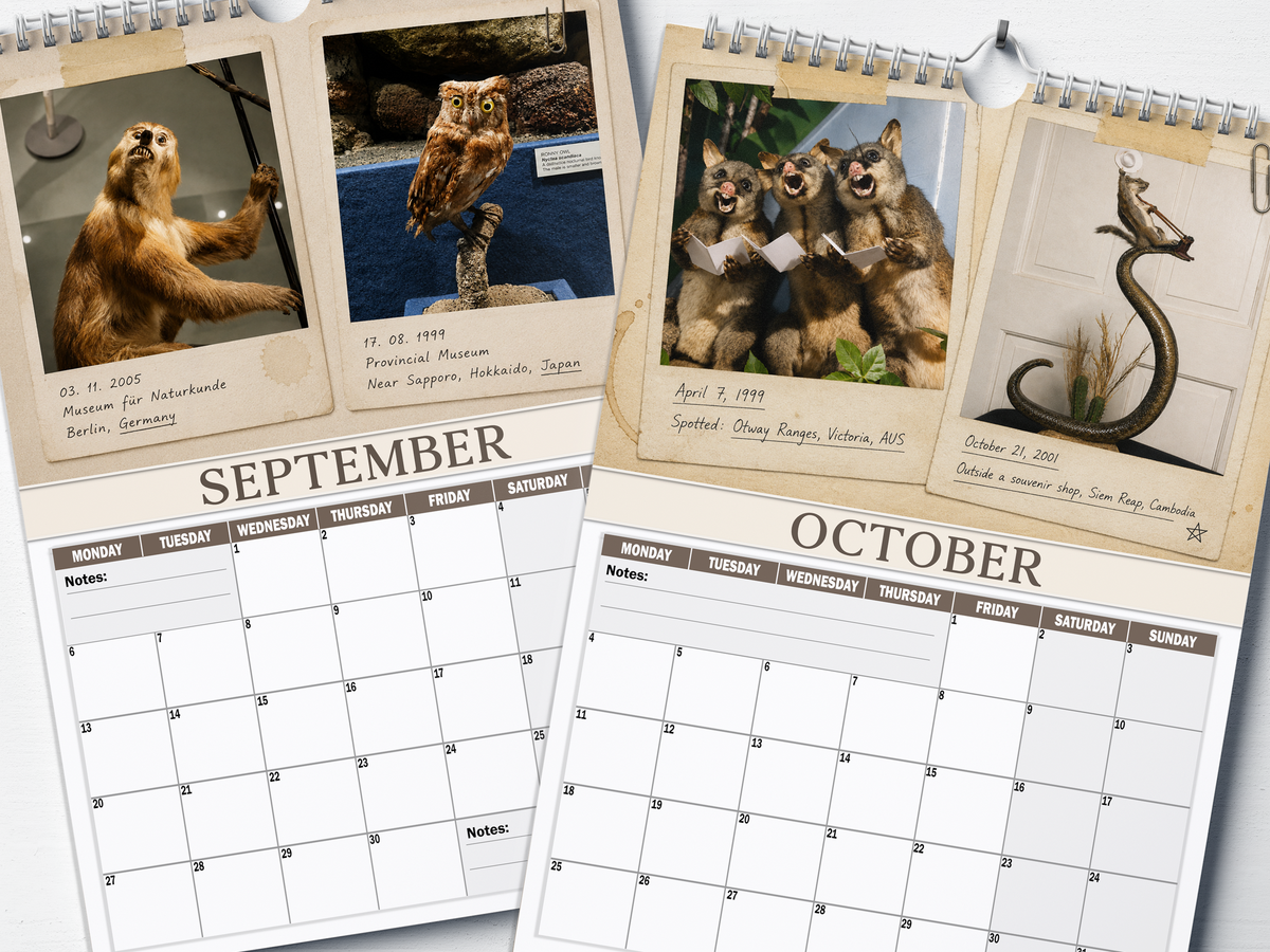 Bad Taxidermy - 2027 A4 Wall Calendar
