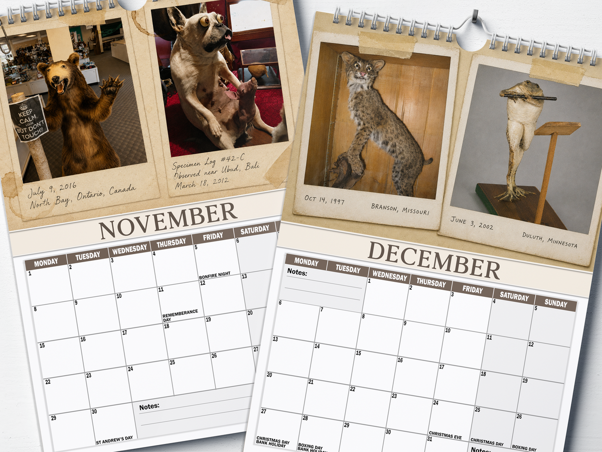 Bad Taxidermy - 2027 A4 Wall Calendar