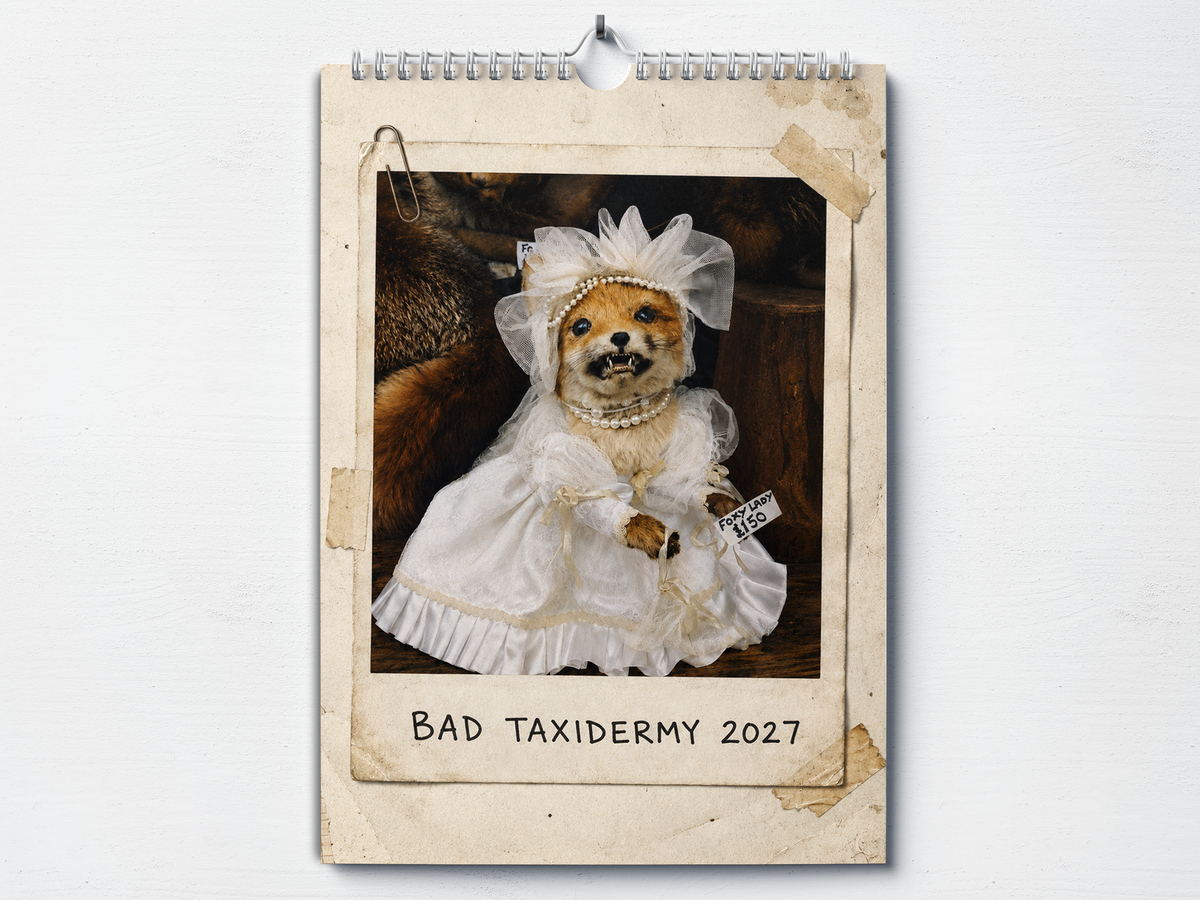 Bad Taxidermy - 2027 A4 Wall Calendar