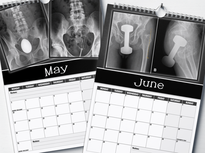 XXX-Rays - 2027 A4 Wall Calendar