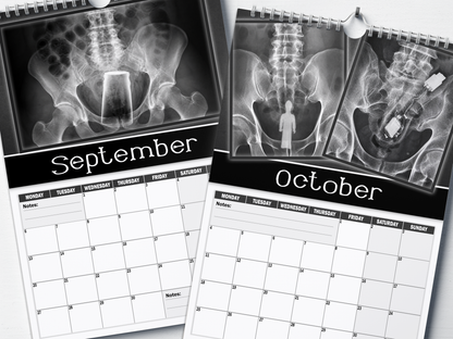 XXX-Rays - 2027 A4 Wall Calendar