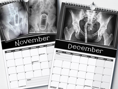 XXX-Rays - 2027 A4 Wall Calendar